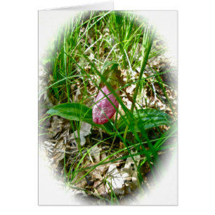 Lady Slipper Wild Orchid Card