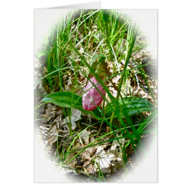 Lady Slipper Wild Orchid Card (Front)