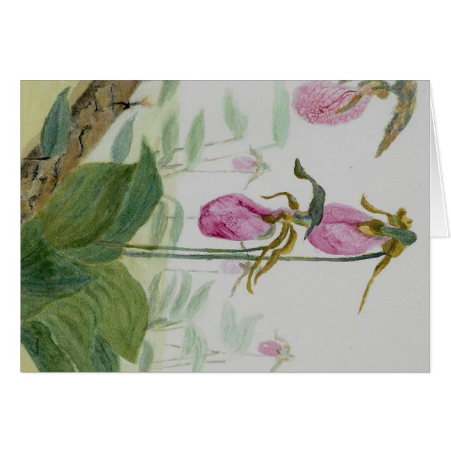 Lady Slippers (Front Horizontal)