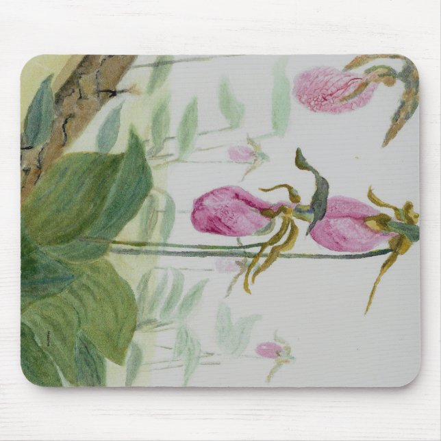 Lady Slippers Mouse Pad (Front)