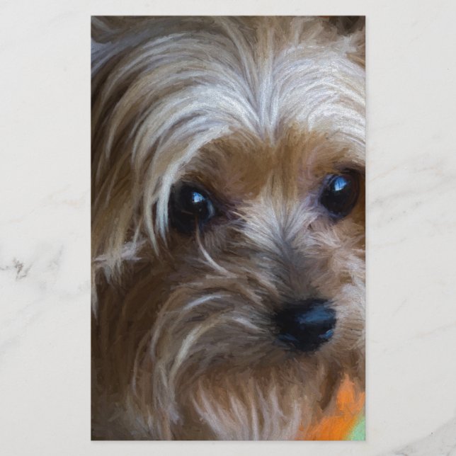 Lady Yorkshire Terrier (Front)