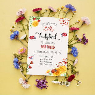 Ladybird Baby Girl Cute Spring Summer Birthday Invitation