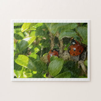 Ladybird Jigsaw Puzzle