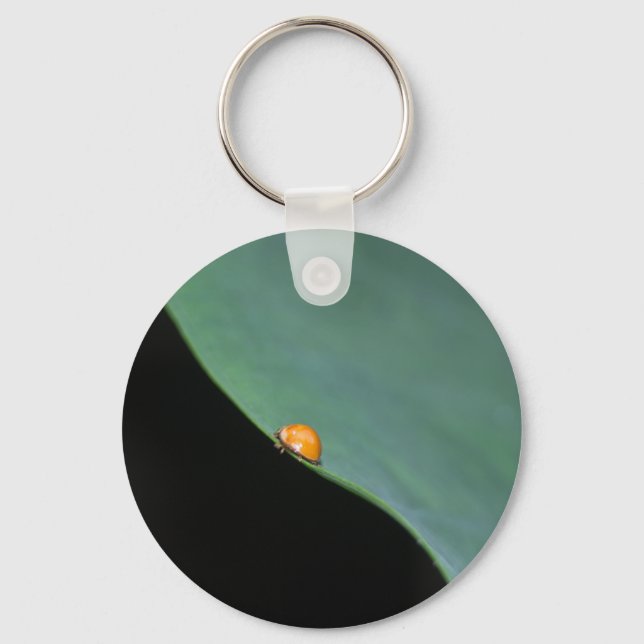 Ladybird Key Ring (Front)