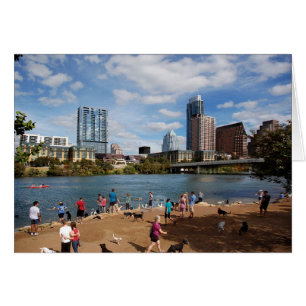 Ladybird Lake Dog Park Austin Texas Skyline