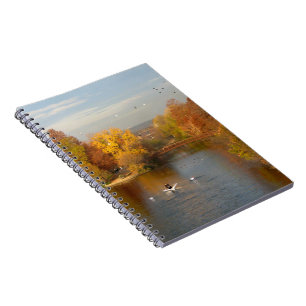 Ladybird Lake Fall Rower - Downtown Austin Texas Notebook