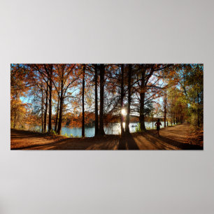 Ladybird Lake Running Trail - Austin, Texas Poster