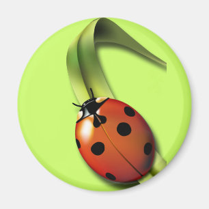 Ladybird Magnet