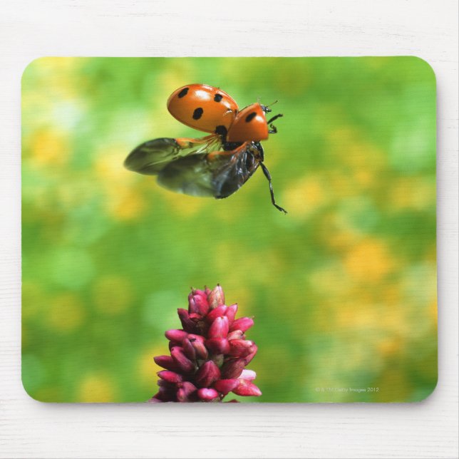 ladybird mouse pad (Front)