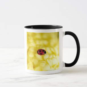Ladybird on a yellow chrysanthemum mug
