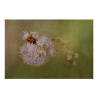 Ladybird on Dandelion Close Up Photographic Art Poster