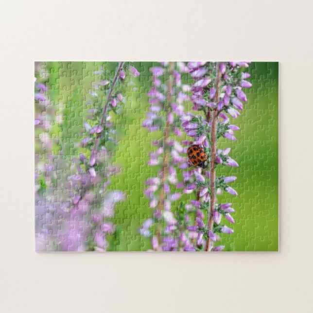 Ladybird on purple flowers    jigsaw puzzle (Horizontal)