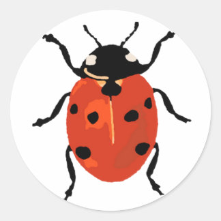 Ladybird Small Sticker
