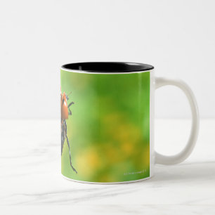 ladybird Two-Tone coffee mug