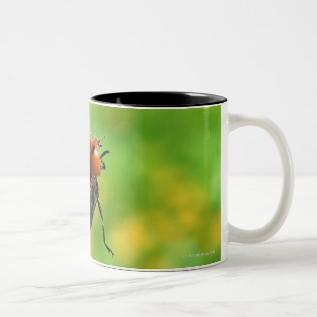 ladybird Two-Tone coffee mug (Right)