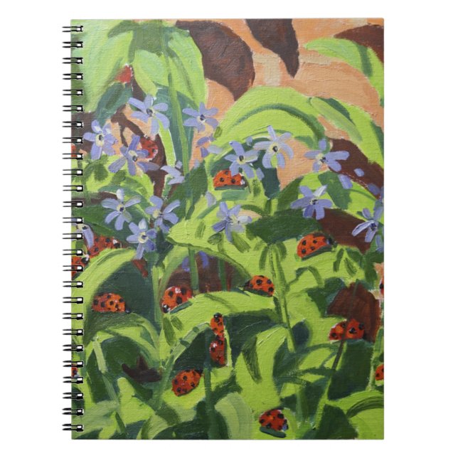 Ladybirds 2013 notebook (Front)