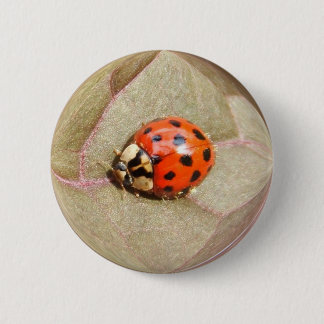 Ladybug 226 ~ button