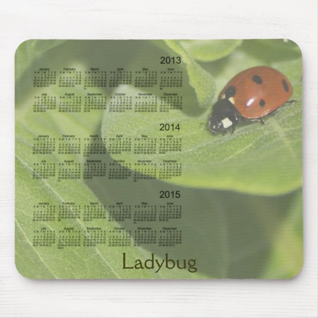 Ladybug 3 Year 2013-2015 Calendar Mousepad (Front)