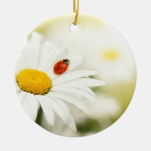 Ladybug and a Daisy Ceramic Ornament