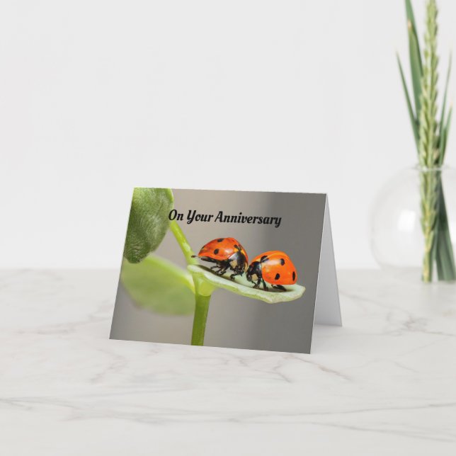 Ladybug Anniversary Greeting Card (Front)