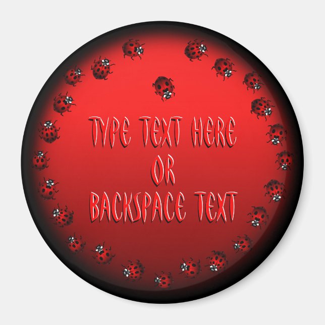 Ladybug Art Magnet Custom Ladybug Fridge Magnets (Front)