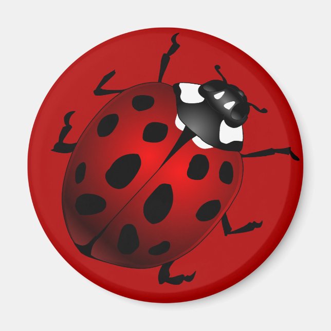 Ladybug Art Magnet Ladybird Ladybug Fridge Magnets (Front)