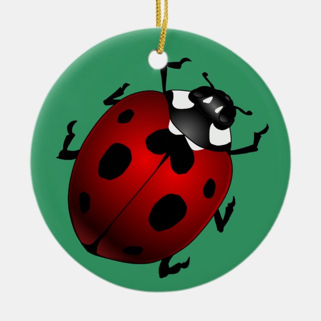 Ladybug Art Ornament Bug Keepsake Ladybug Gifts (Front)