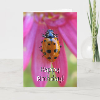 Ladybug Birthday Card