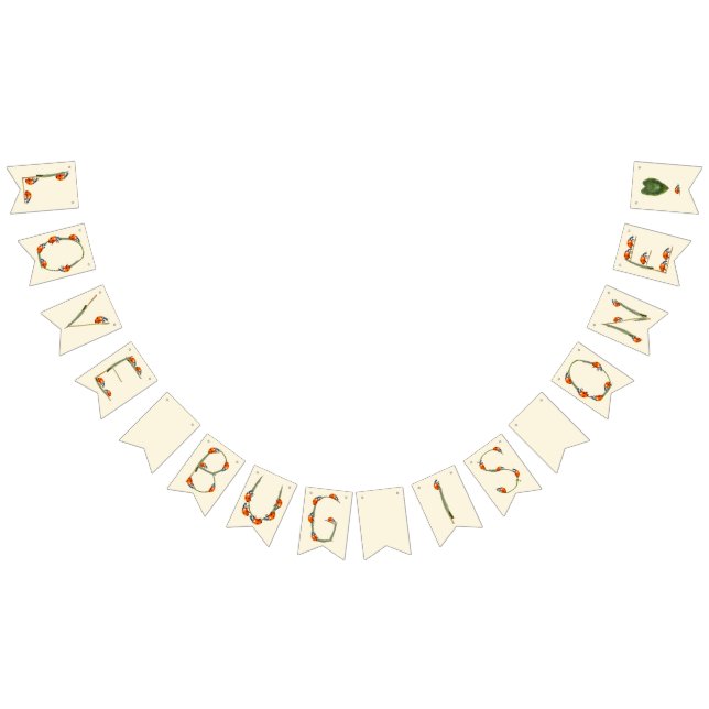 Ladybug Birthday Party - One year old 1st Birthday Bunting (All)