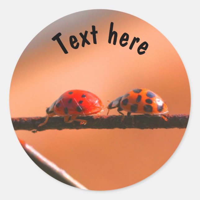 Ladybug Buddies Nature Personalised Classic Round Sticker (Front)