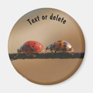 Ladybug Buddies Nature Personalized Magnet