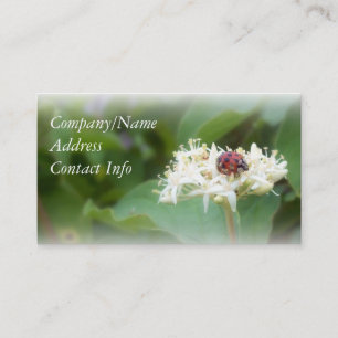 LadyBug Business Card