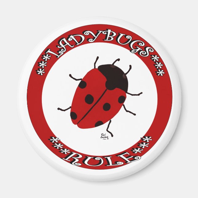 Ladybug button magnet (Front)