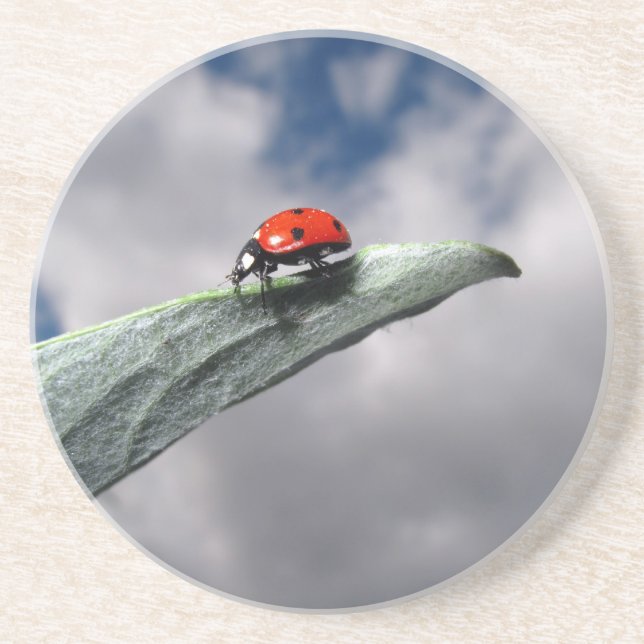 Ladybug Calm Before the Storm Coaster (Front)