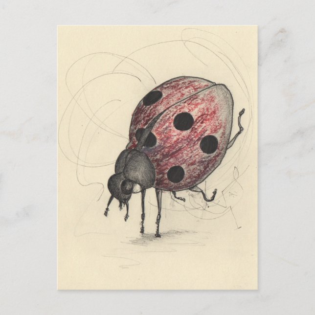 Ladybug can't dance holiday postcard (Front)