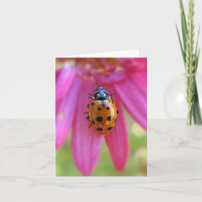 Ladybug Card (Front)