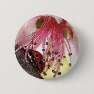 Ladybug Carwash Button