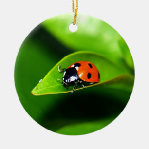 Ladybug Ceramic Ornament