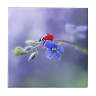 LADYBUG Ceramic Tile