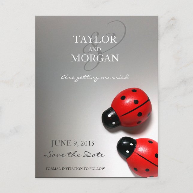 Ladybug Classic Modern Wedding Save the Date Announcement Postcard (Front)