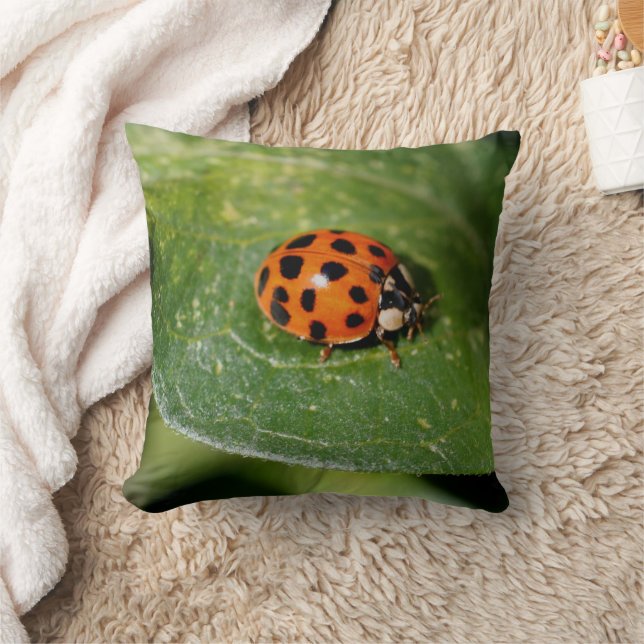 Ladybug Close Up Nature  Cushion (Blanket)