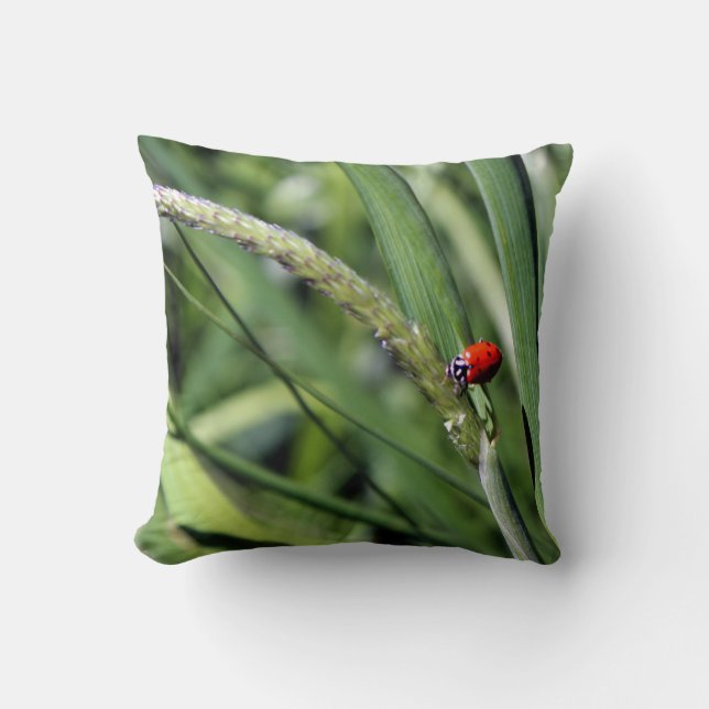 Ladybug (Coccinellidae) Cushion (Front)