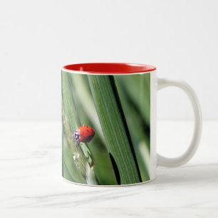 Ladybug (Coccinellidae) Two-Tone Coffee Mug