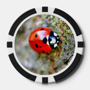 Ladybug Crawling on Tree Trunk Poker Chips