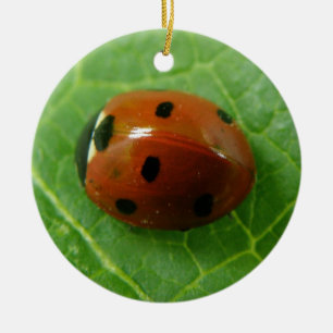 Ladybug Custom Birthday Ceramic Ornament
