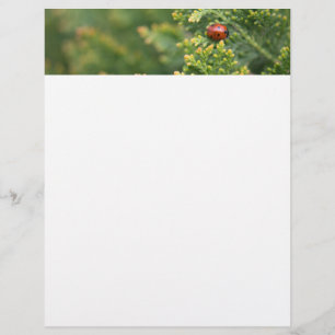 Ladybug Custom Letterhead