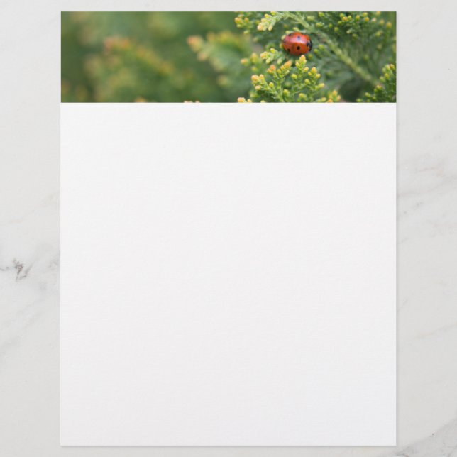 Ladybug Custom Letterhead (Front)