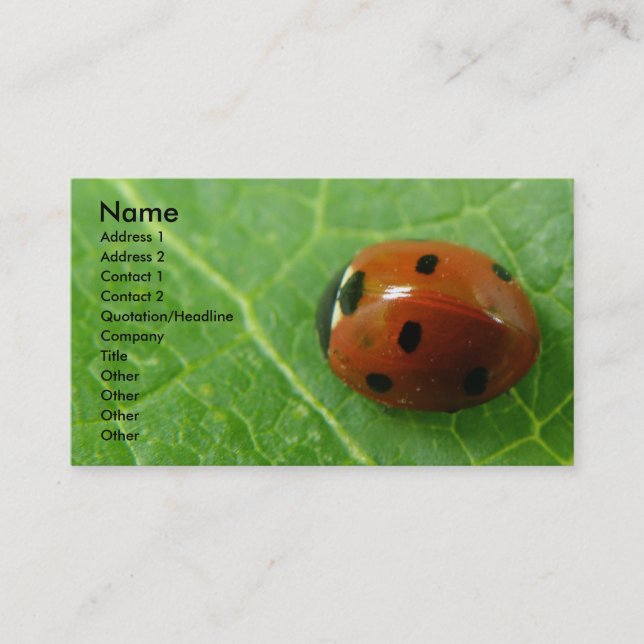 Ladybug Customisable Business Card (Front)