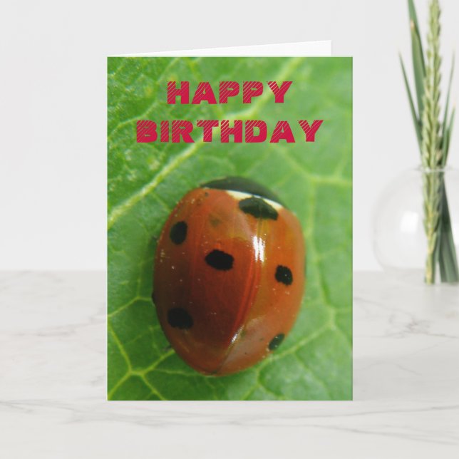 Ladybug Customisable Greeting Card (Front)