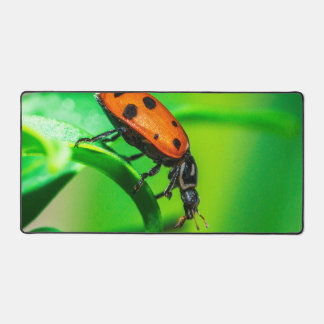 Ladybug Desk Mat | Nature Workspace Aesthetic